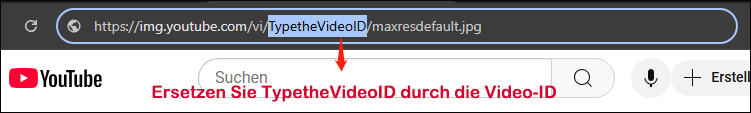 Ersetzen Sie Type the Video ID ein durch die Video-ID