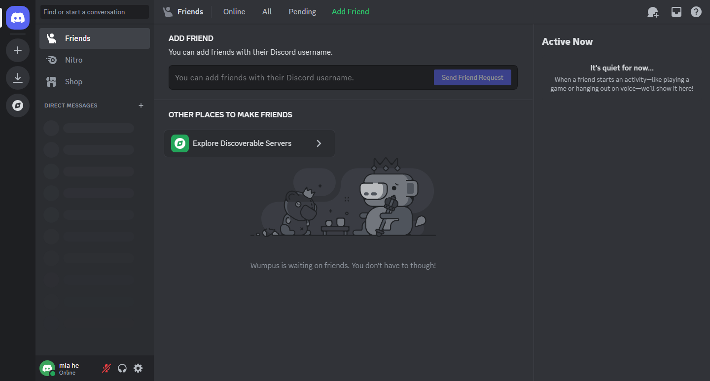 Discord on the web browser