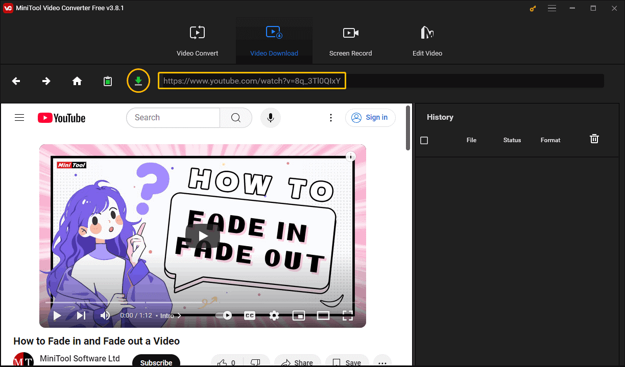 In the Video Download tab, paste the YouTube video URL into the address bar, and click the Download tab