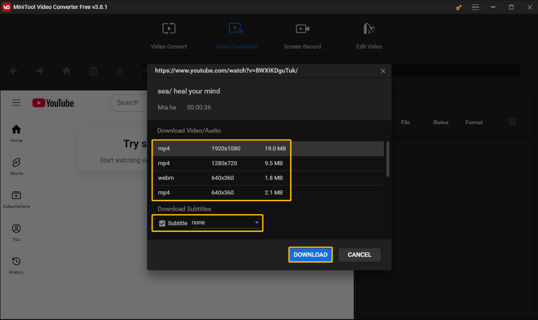 Choose output formats, select whether to download the video subtitles, and click on DOWNLOAD