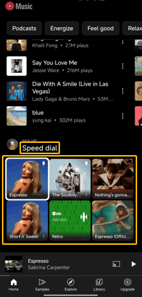 The Speed dial section in the YouTube Music app