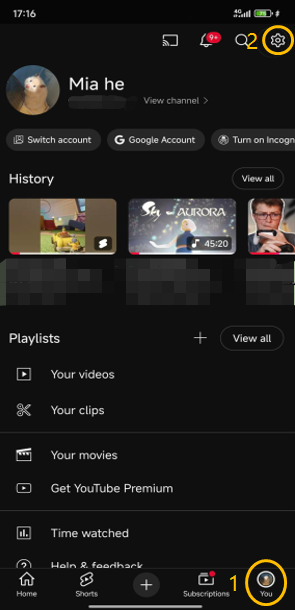 Choose the You tab and click the gear icon in YouTube app