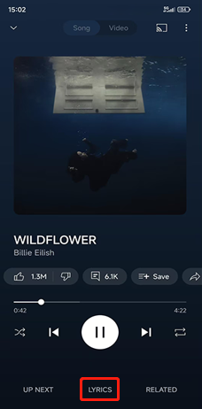 Click LYRICS in the playback interface of YouTube Music app