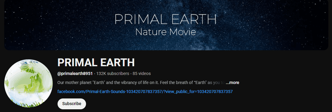 The channel homepage of PRIMAL EARTH