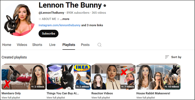 Watch the rabbit YouTube channel on Lennon The Bunny