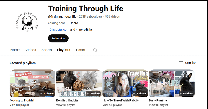 Go to Training Through Life to watch rabbit YouTube videos