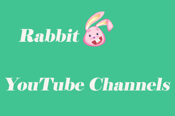 Best Rabbit YouTube Channels to Follow for Rabbit Lovers