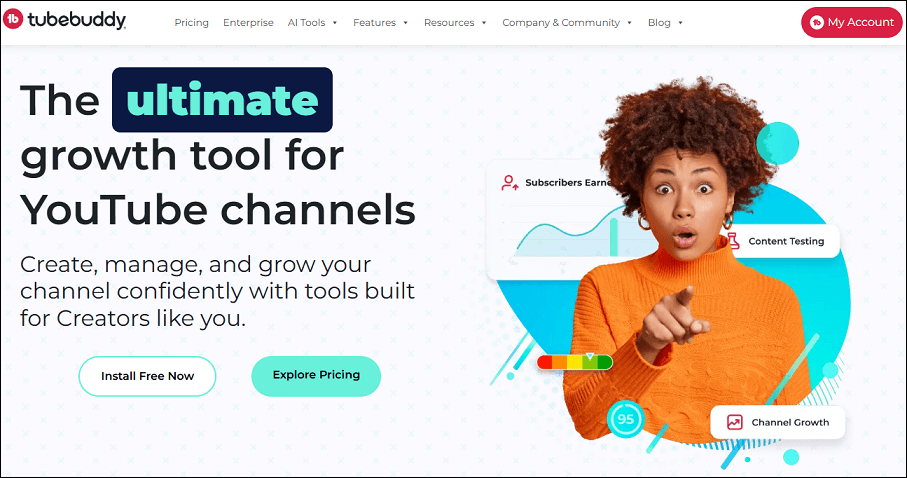 The website homepage of TubeBuddy on a browser