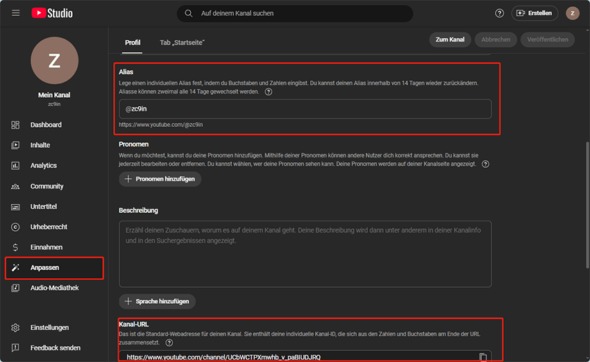 Klicken Sie auf Anpassen und finden Sie den Abschnitt Alias und Kanal-URL in YouTube Studio