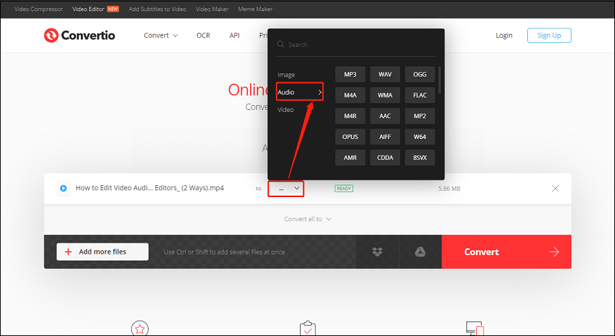 Elige un formato de audio
