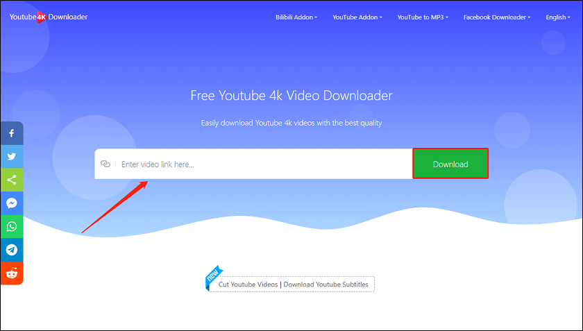 Pegue el enlace del vídeo y haga clic en Descargar