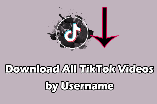 How to Download All TikTok Videos by Username [Without Watermark]