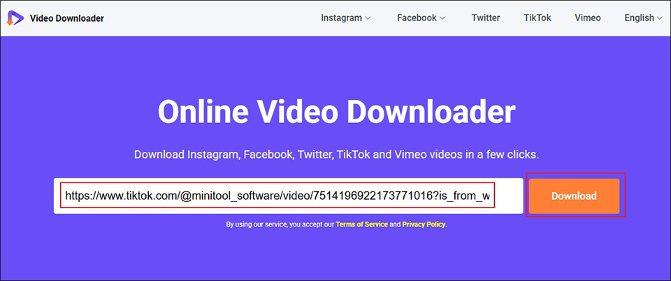 Paste the copied TikTok video link into the search box of Online Video Downloader and click the Download button