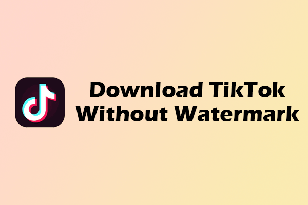 Download TikTok Without Watermark on a Computer and iPhone