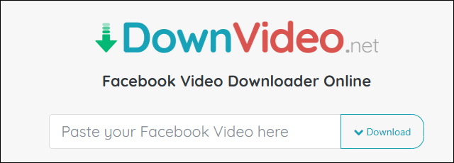 The interface of DownVideo.net
