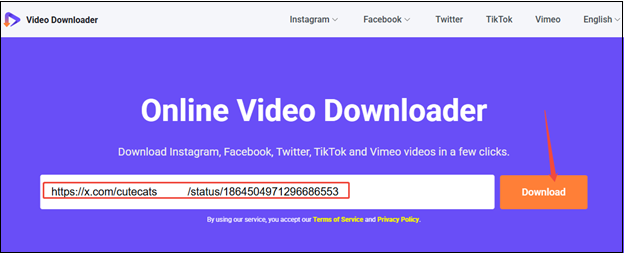 Paste the Twitter link and click on Download on viddown.net