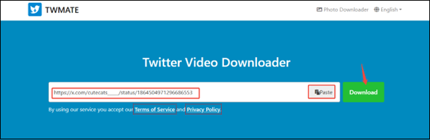 Paste the Twitter link or click on Paste, and click on Download to analyze the video on TWMate