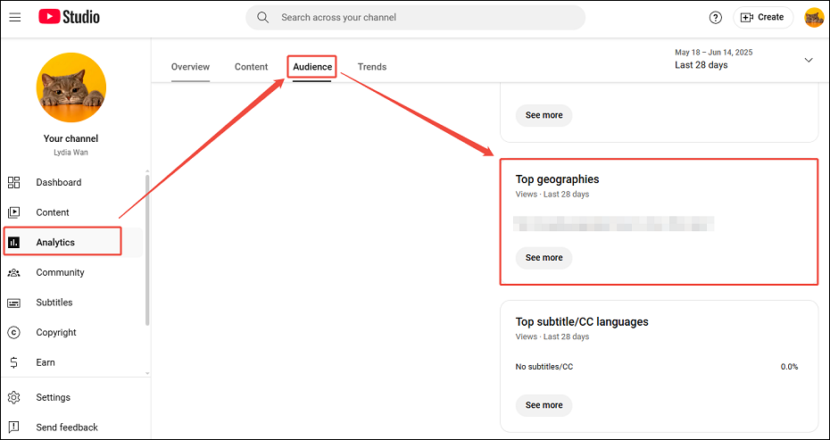 Choose Analytics, click on Audience, and find the Top geographics section within YouTube Studio