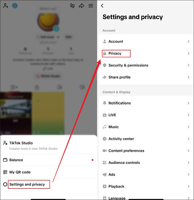 Choose the Settings and privacy option and select the Privacy option in TikTok