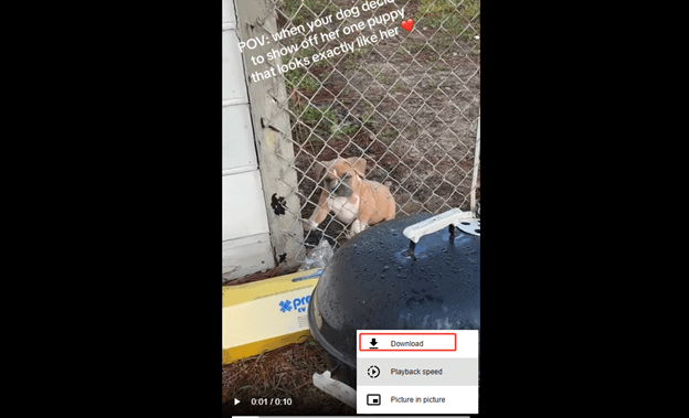 Click on the three dots and click on Download to start downloading the TikTok video on viddown.net