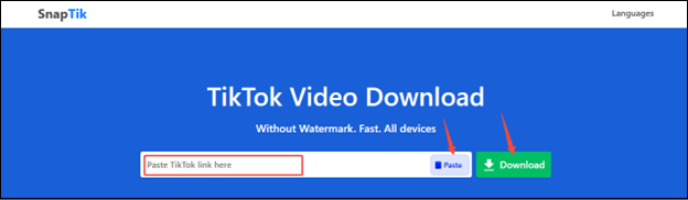 Paste the video link or click on Paste and click on Download to analyze the TikTok video in SnapTik