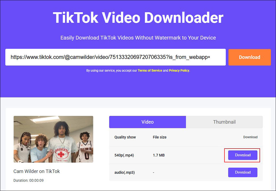 Choose the needed video format and quality and then click the Download button in Online Video Downloader on viddown.net
