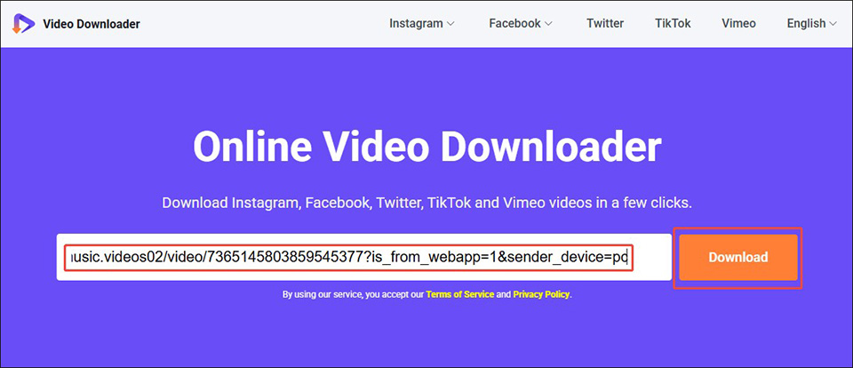 Paste the copied TikTok link into Online Video Downloader on viddown.net and click the Download button