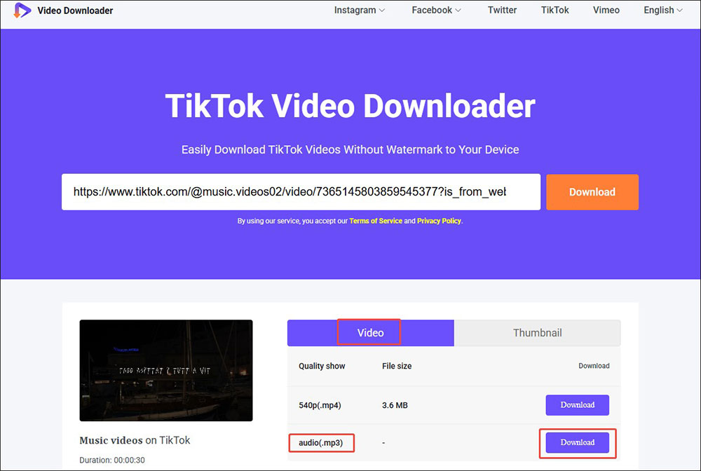 Choose the audio (.mp3) option and click the Download button in Online Video Downloader on viddow.net
