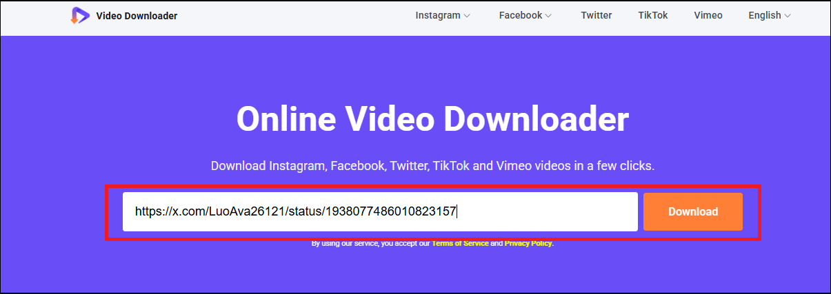 Paste the copied URL into Viddown.net and click the Download button in viddownl.net