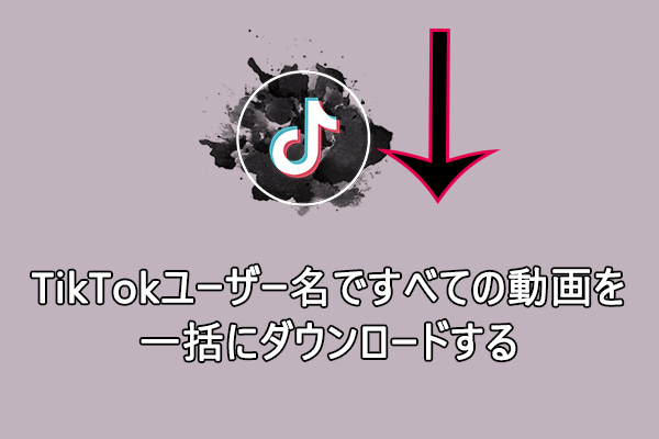 透かしなし | TikTokユーザー名ですべての動画を一括にダウンロードする