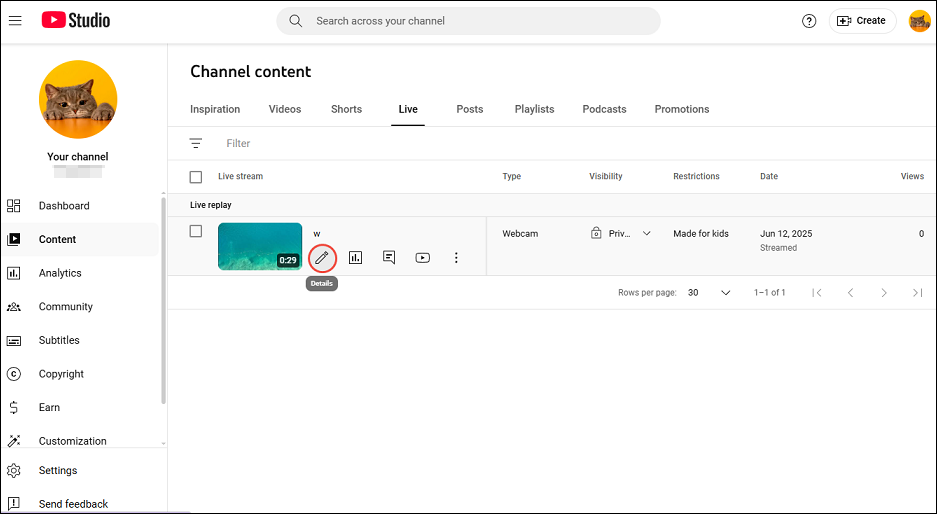 Click the Details button (the pencil icon) to open the video’s page within YouTube Studio
