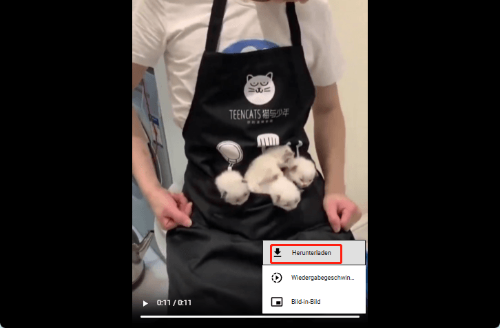 Klicken Sie auf das Drei-Punkte-Symbol und wählen Sie Download, um das Twitter-Video zu speichern