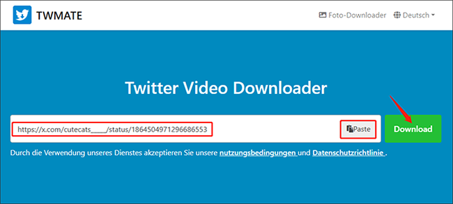 Fügen Sie den Twitter-Link ein oder tippen Sie auf Einfügen, und klicken Sie auf Download, um das Video mit TWMate zu analysieren