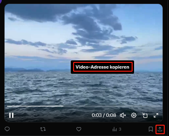 Klicken Sie auf Videoadresse kopieren oder das Teilen-Symbol auf Twitter, um den Videolink zu kopieren