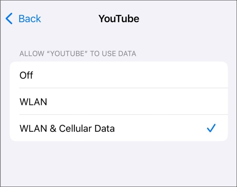 Tick on WLAN & Cellular Data to enable mobile data for YouTube