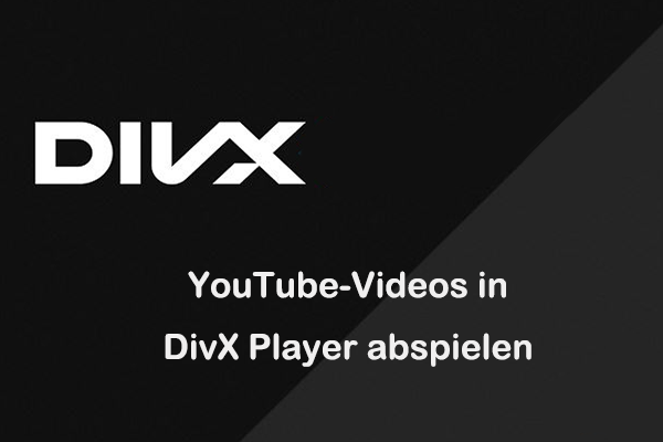 Wie man YouTube-Videos im DivX Player ohne Netzwerk abspielt
