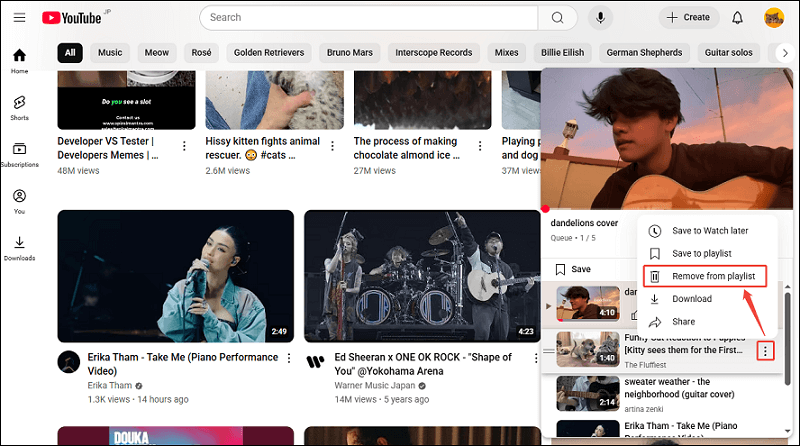 Click the three-dot icon next to the video and select Remove from playlist on YouTube