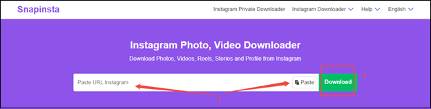 Paste the Instagram video link or click on Paste, then click on Download to analyze the video link in SnapInsta