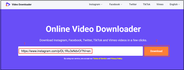 Paste the Instagram video link and click on Download to analyze it in viddown.net
