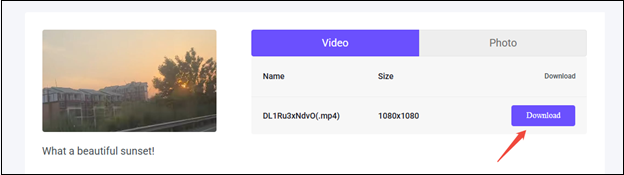 Click on Download to start downloading the Instagram video in viddown.net