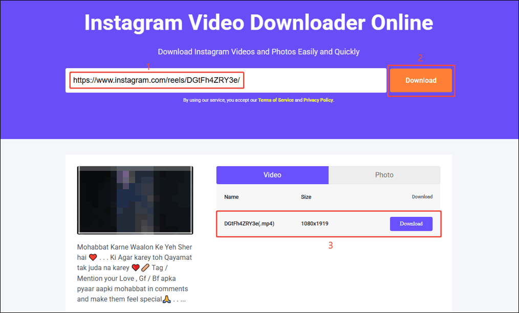 Paste the Instagram video URL into the address bar and click Download on viddown.net