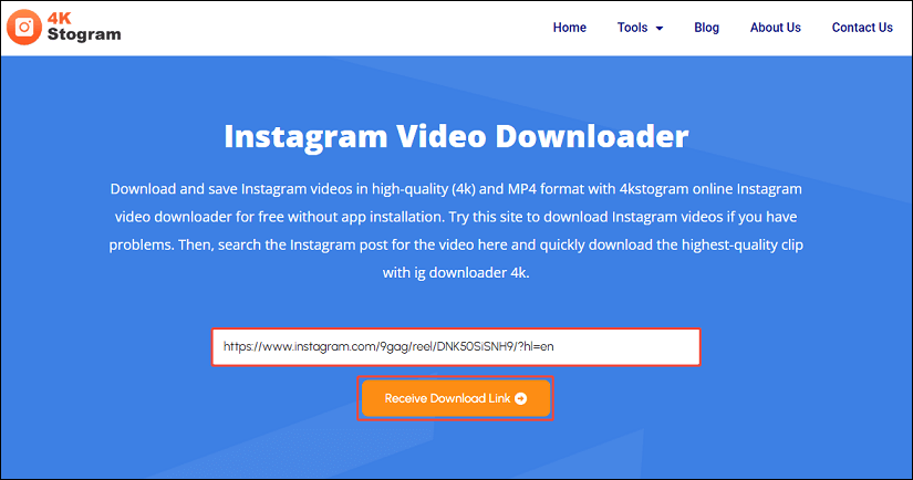 Paste the Instagram video link and click on Receive Download Link in 4K Stogram