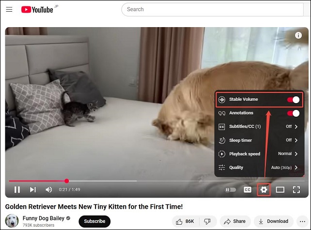Click on Settings and toggle on Stable Volume on or off while playing videos on the YouTube website