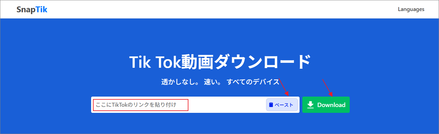 SnapTikに動画リンクを貼り付けて「Download」をクリック