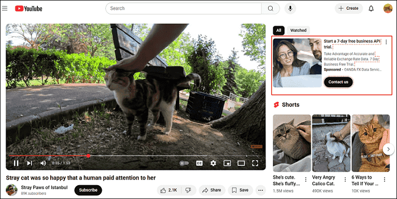 The in-feed ads on YouTube’s Watch Next section