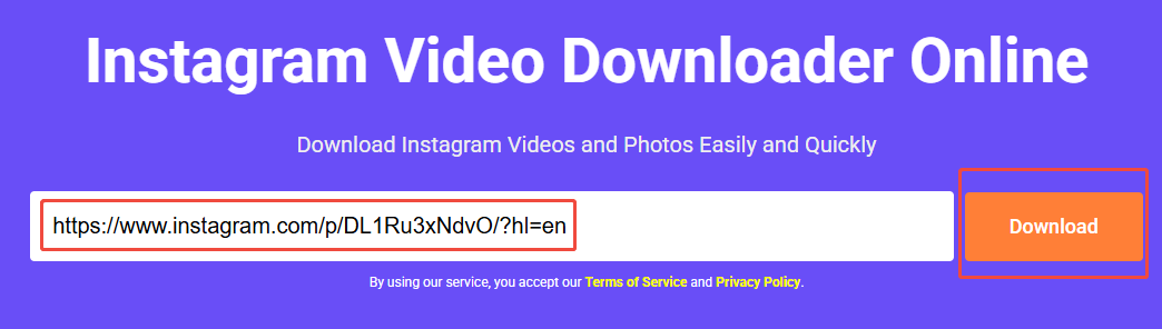 Paste the Instagram link and click on Download to enter the interface of downloading in viddown.net