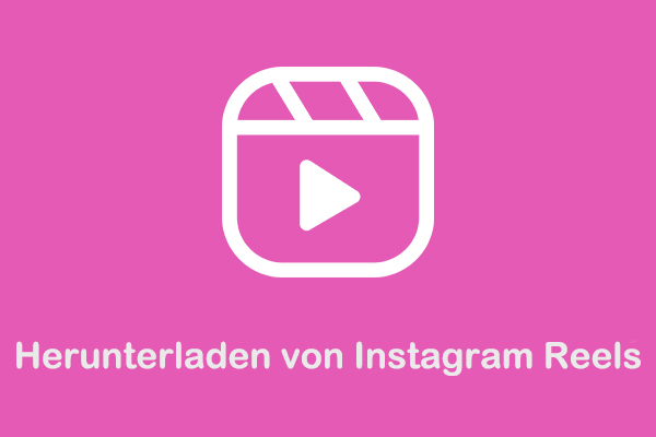 Schritt-für-Schritt-Anleitung zum Herunterladen von Instagram Reels auf Windows