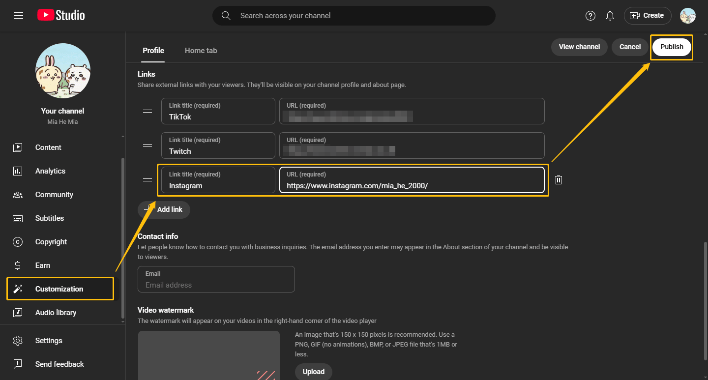Screenshot from YouTube Studio showing selecting the Customization tab, pasting the Instagram link, and clicking Publish