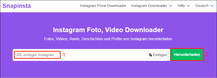 Fügen Sie den kopierten Link und drücken Sie die Schaltfläche Herunterladen, um den Video-Link zu analysieren.
