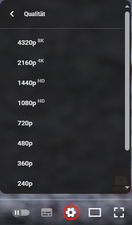 Klicken Sie auf Qualität, um 8K Auflösung zu wählen.